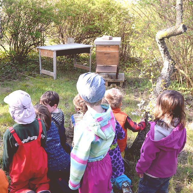 Kinder vor Bienenbeuten